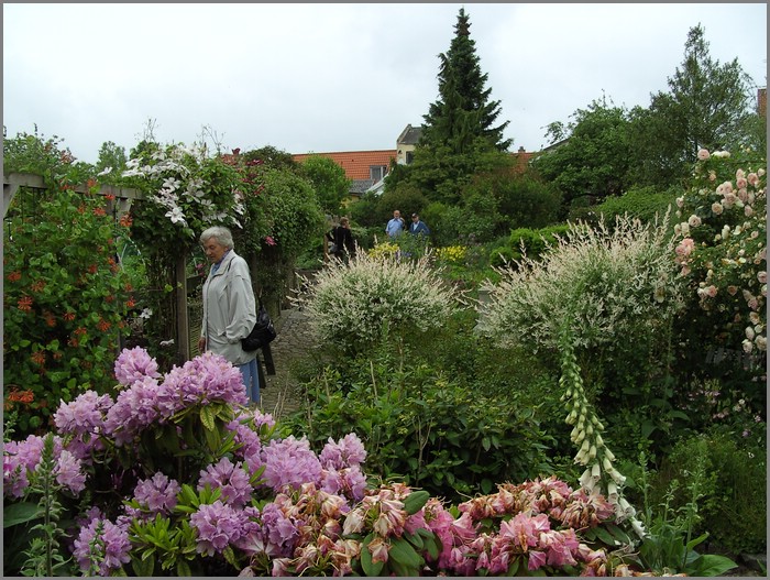 BILD0605.JPG (157 KB)