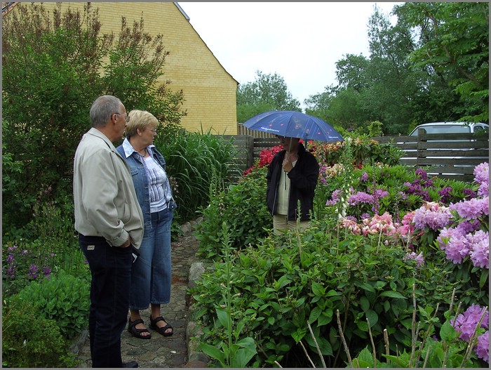 BILD0613.JPG (161 KB)