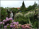BILD0605.JPG(157 KB)