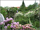 BILD0606.JPG(179 KB)