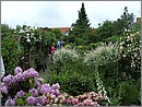 BILD0607.JPG(163 KB)