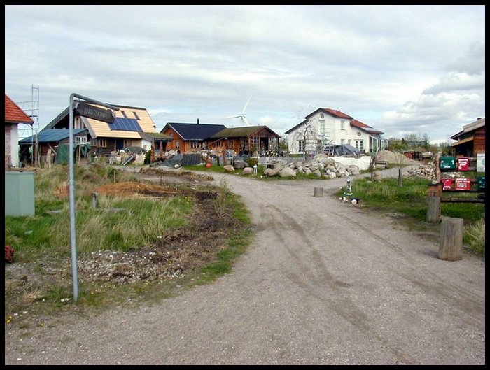 P1010007.jpg