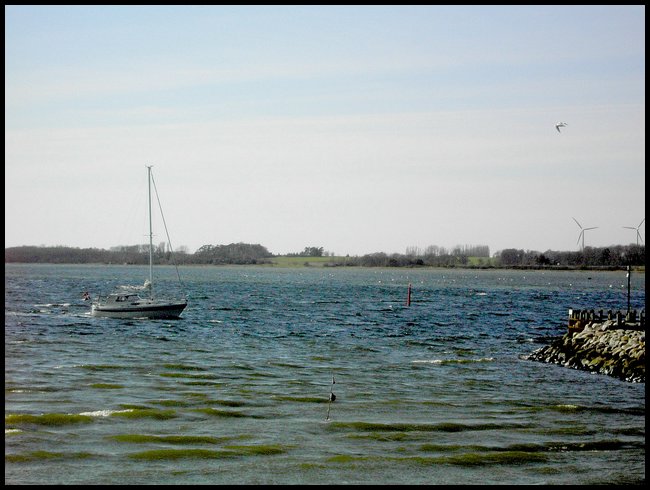 PICT0102.JPG