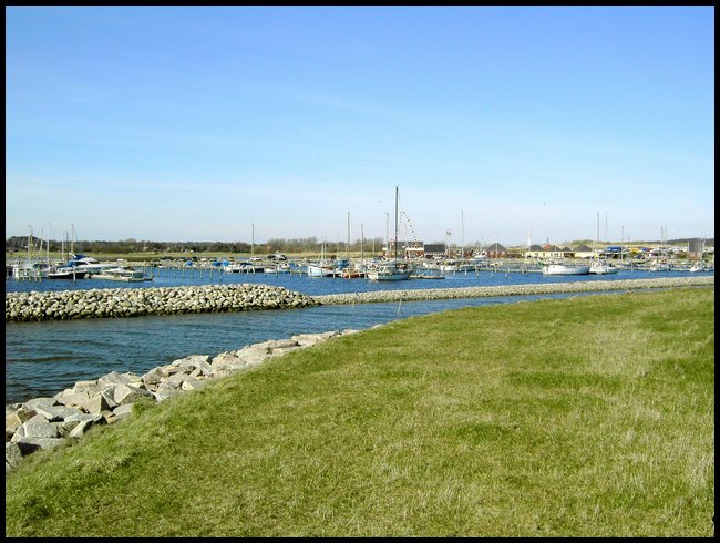 PICT0104.JPG
