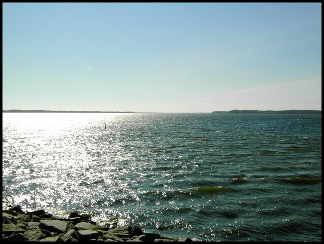 PICT0107.JPG