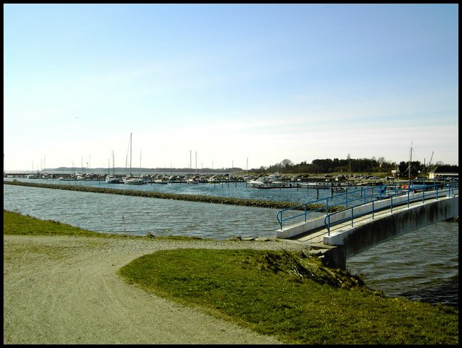 PICT0110.JPG