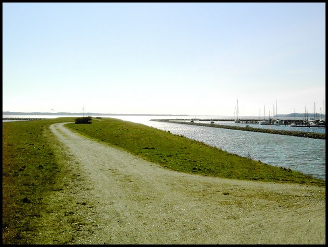 PICT0111.JPG