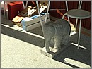 BILD0090.JPG(125 KB)