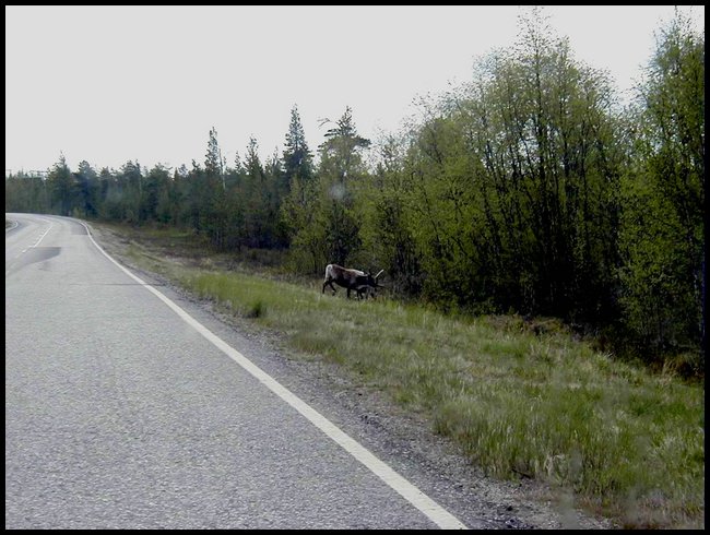 Nord32.jpg