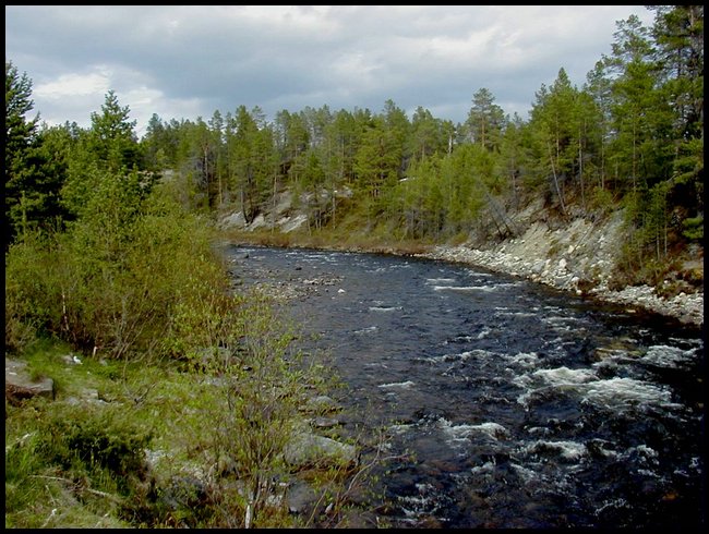 Nord38.jpg