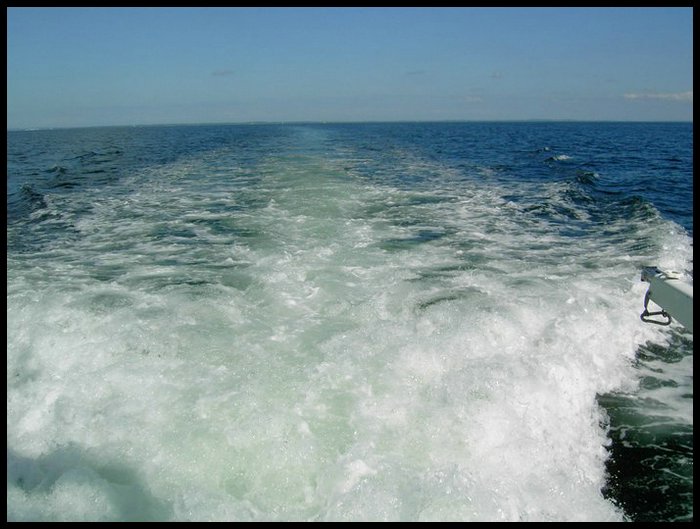 PICT0303.jpg