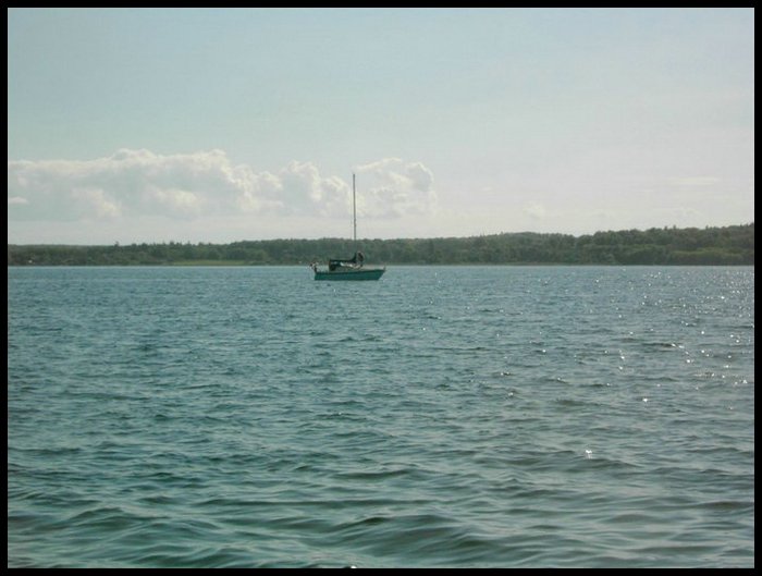 PICT0310.jpg