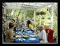 PICT0465.jpg