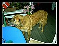 PICT0519.jpg