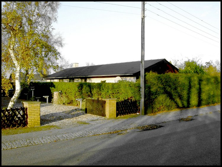 PICT0841.JPG